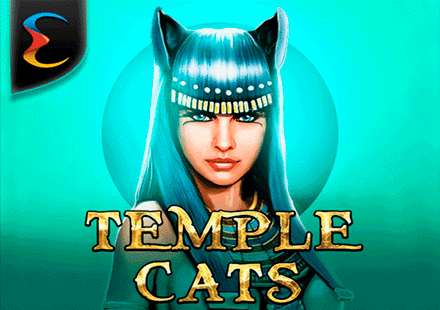 Temple Cats
