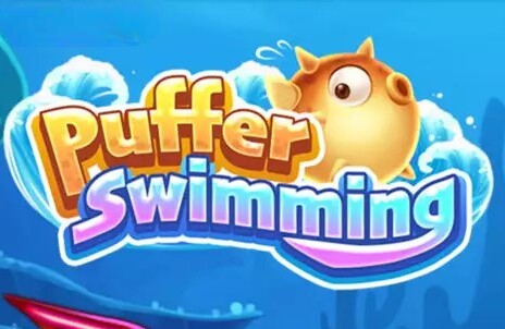 Puffer Swimming